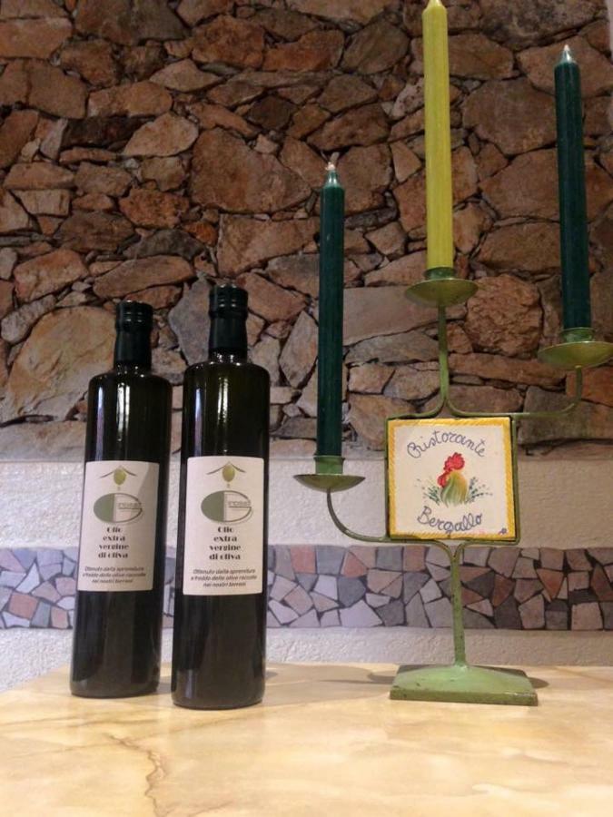 Albergo Ristorante Bergallo Tovo San Giacomo Екстер'єр фото